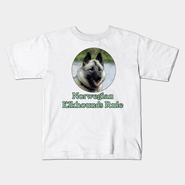 Norwegian Elkhounds Rule Kids T-Shirt by Naves